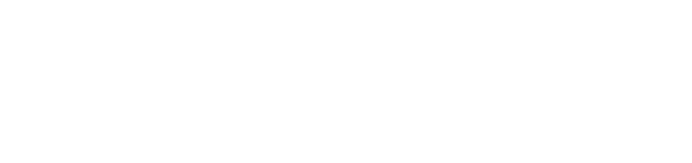 NOVABUSSING